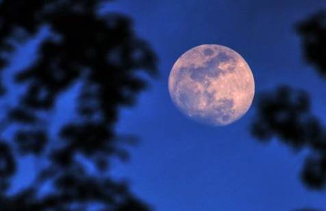 秦玉彦为君十赋全文,为君十赋鹧鸪天新韵