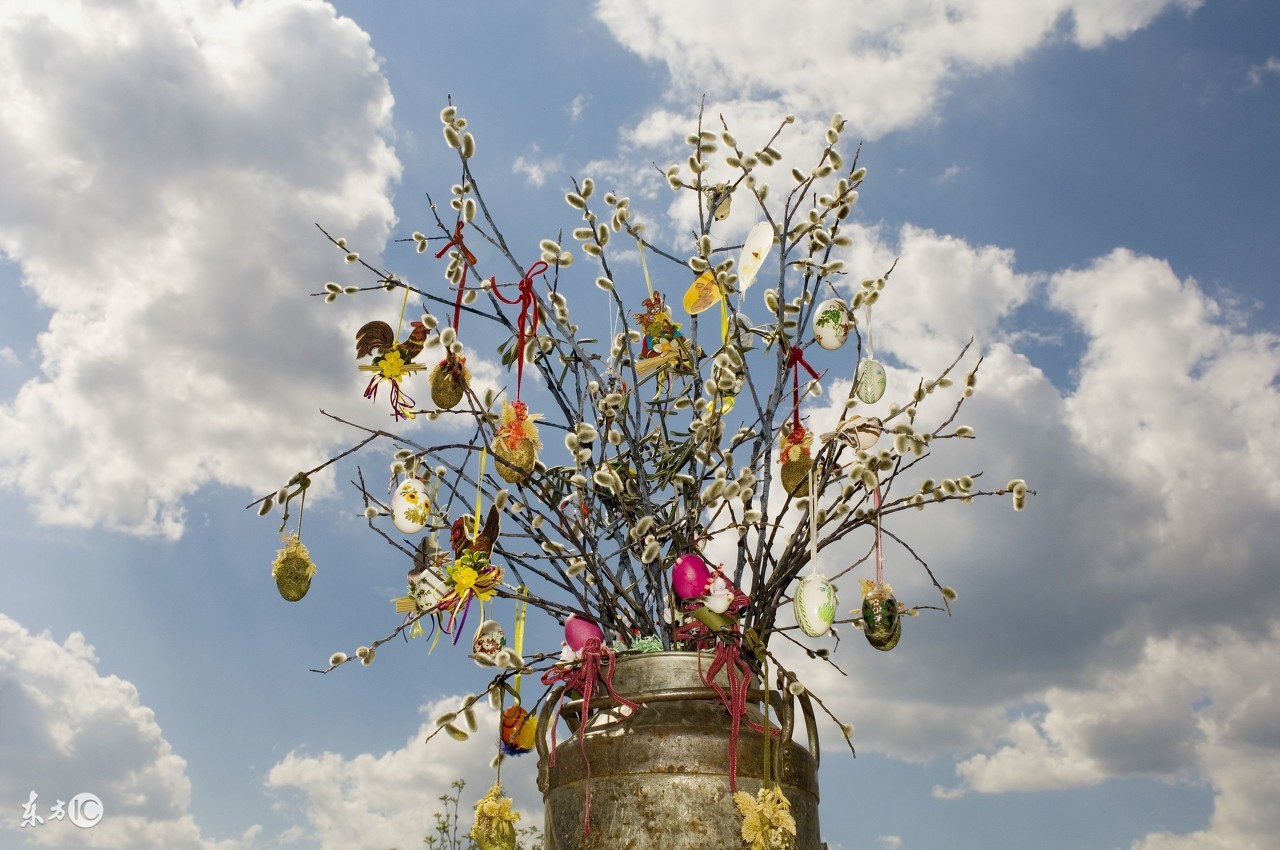 生肖鸡哪年遇红鸾和天喜,生肖鸡出生二十四小时吉运