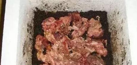 你是如何对待狗的,如果你打你家自己的狗会怎么样