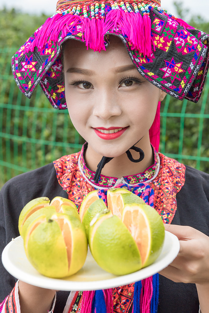 琼中绿橙发布会,琼中绿橙采摘旅游季