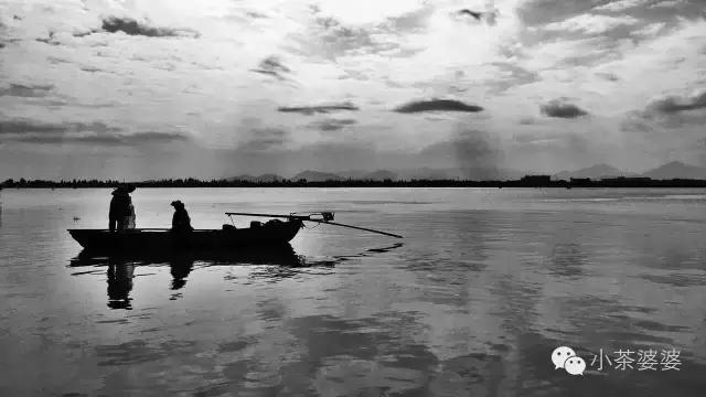 哪一种橘子皮是中药陈皮,一个橘子皮怎么会叫陈皮