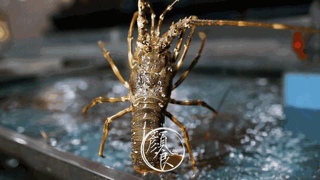 舒海滙——源*大海于**的恩赐源于对品味的追求