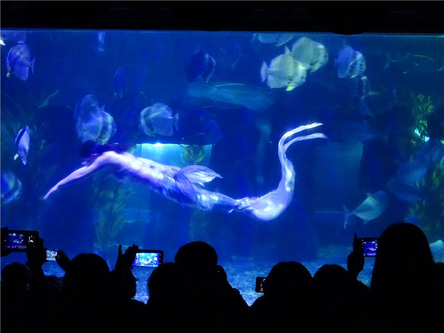 台州一日游的绝佳去处,台州旅游小众秘境