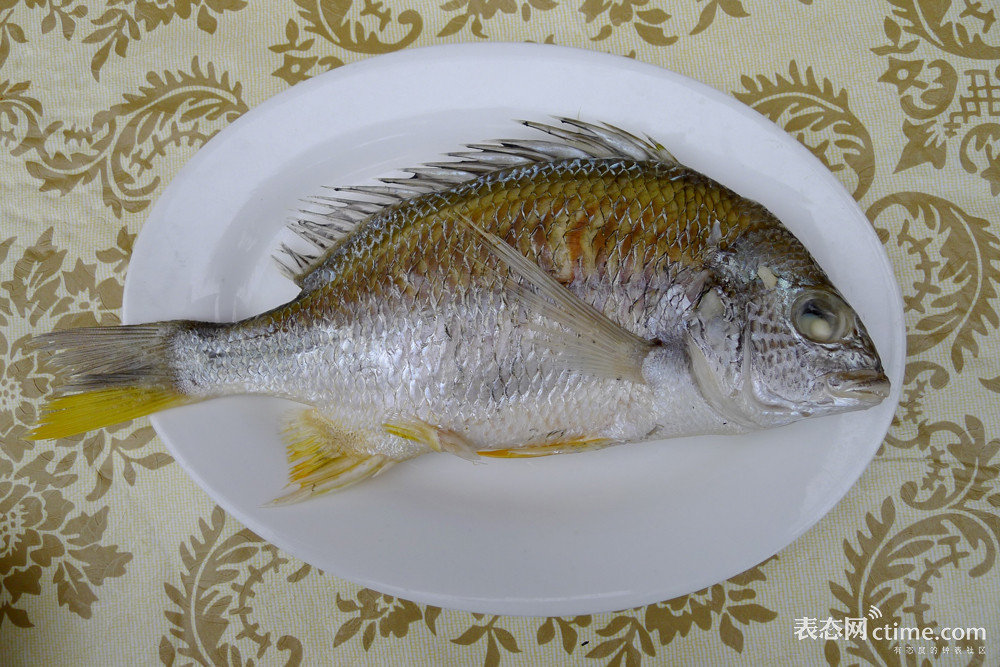 汕头旅游小公园美食,汕头三天两夜美食