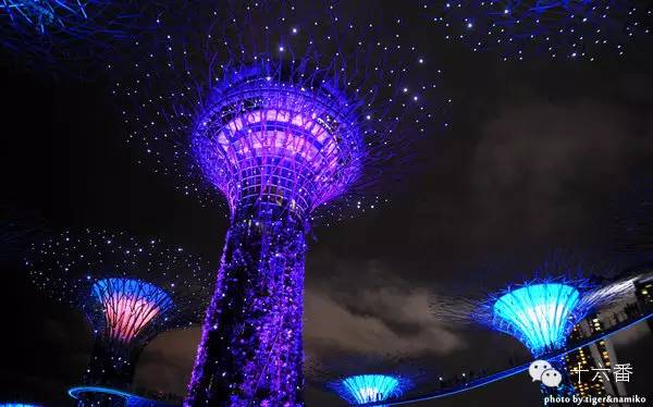 你从来没有留意过的中转站，可能比目的地更好玩！