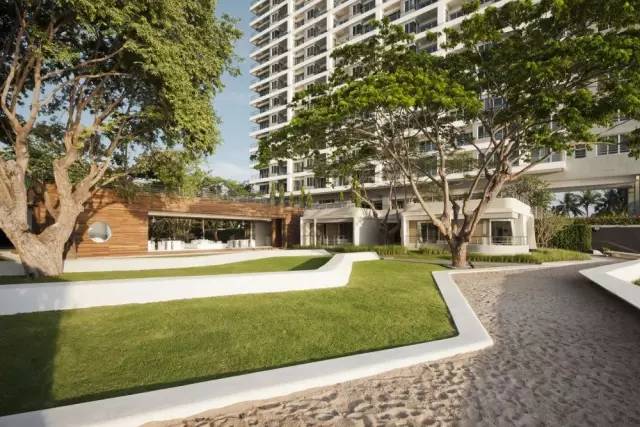 大型的景观草坪,好看的天然草坪