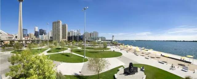 好的景观草坪,天然草坪推荐