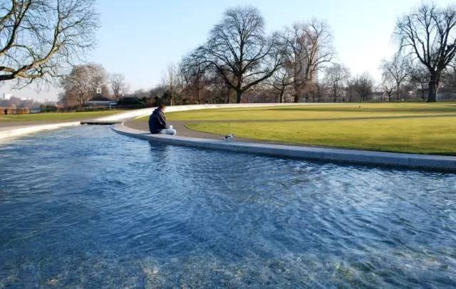 好的景观草坪,天然草坪推荐