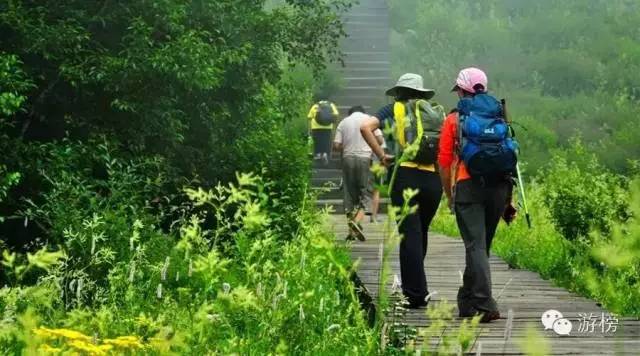 一周直播榜单,一周榜单