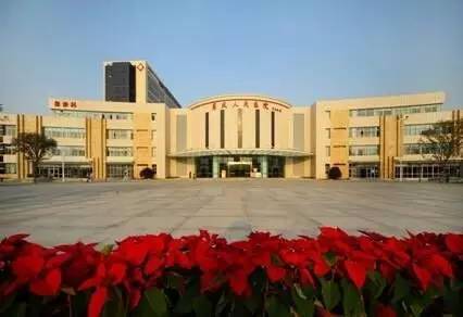 对话｜中山“北大门”东凤镇将要迎来新一轮的大升级！听杨安队说了什么？