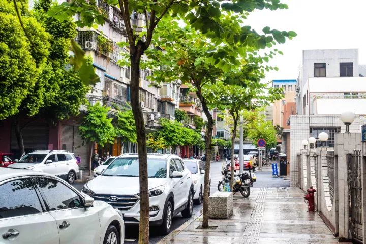 番禺区钟村南站,番禺钟村站