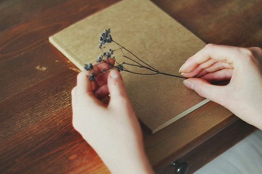 拥抱岁月歌曲,拥抱岁月