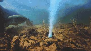 史上最强的钓鱼黑科技装备,美国钓鱼诱鱼工具