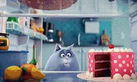 首家日销过亿的宠物公司！波奇网做对了什么？