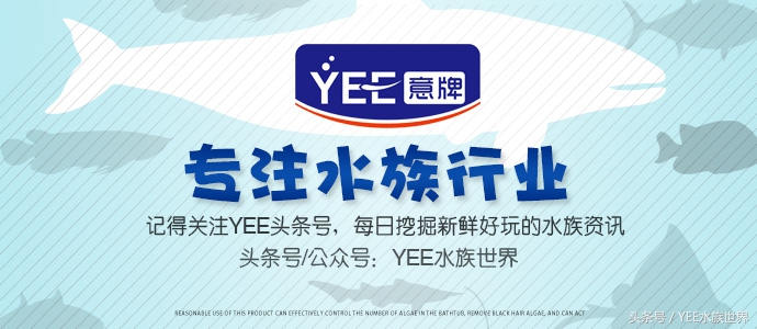水草长不好什么原因,水草长得不好还长绿藻是怎么回事