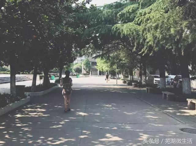 蚌埠最大中学,蚌埠目前最好的中学