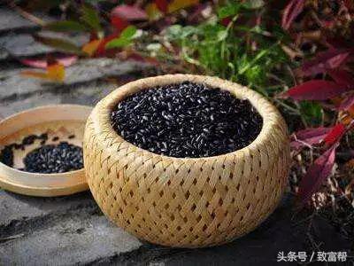 过去有哪些致富好项目,一周致富锦囊经典语录