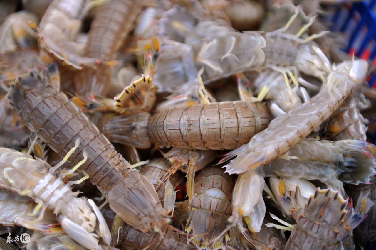 泰国花100块钱可以去哪里,1000元泰铢在泰国能玩几天
