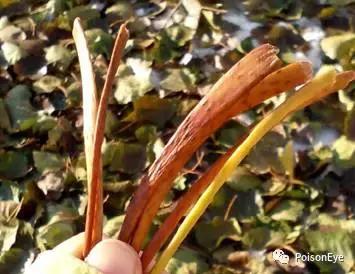 传承中华北京布鞋文化,传承老北京布鞋