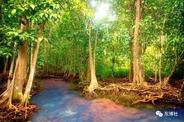 不要丧!去印尼泗水,找回你的快乐时光~