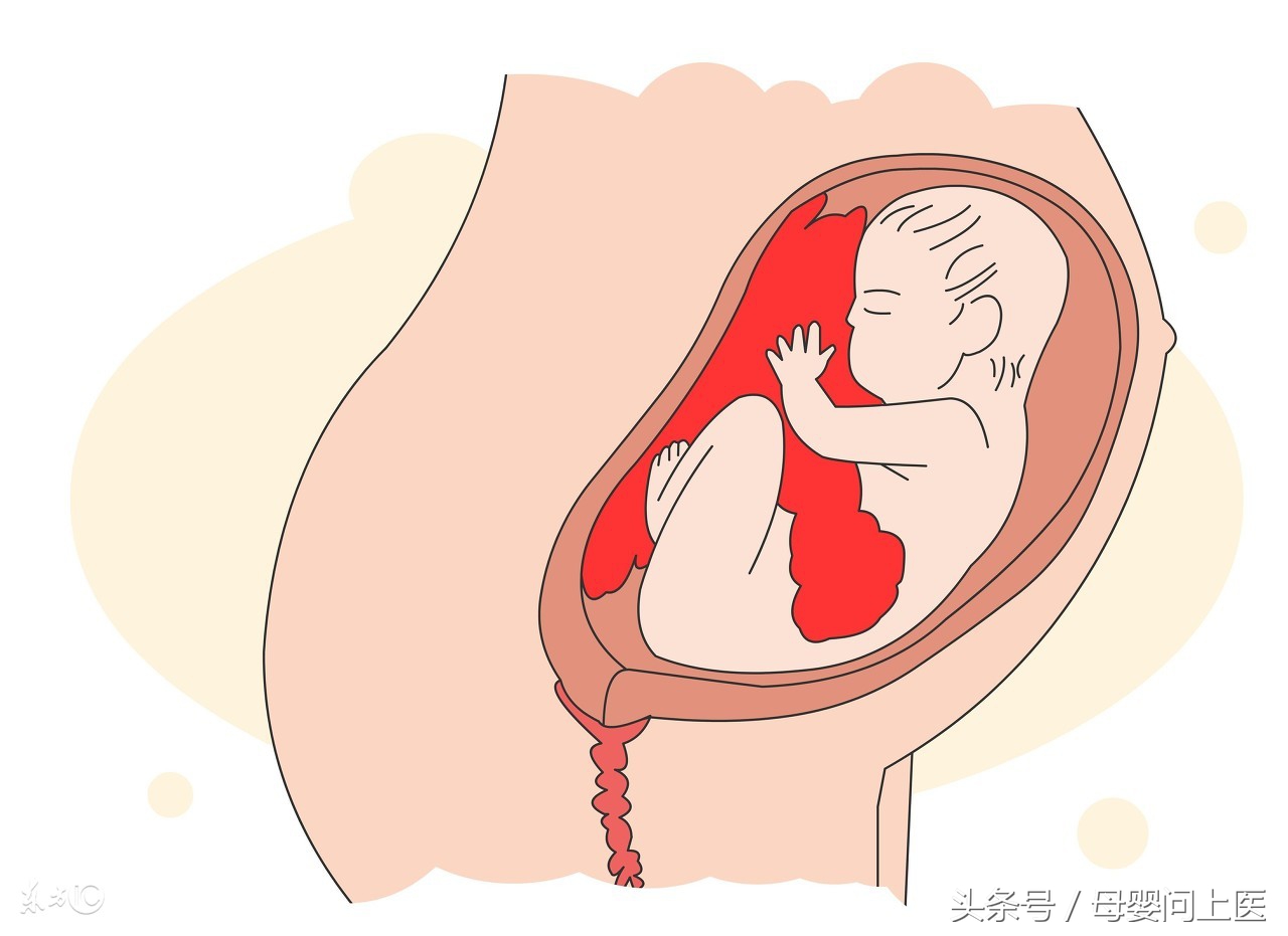 从怀孕到生孩子会遇到哪些问题,怀孕到生产的过程及注意事项