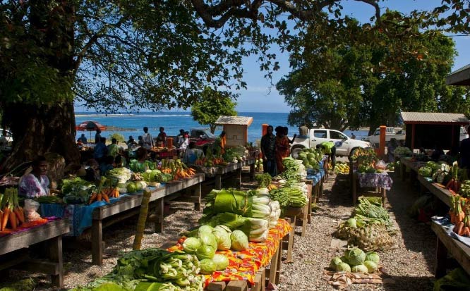 瓦努阿图国家打工工资怎么样,瓦努阿图生活成本