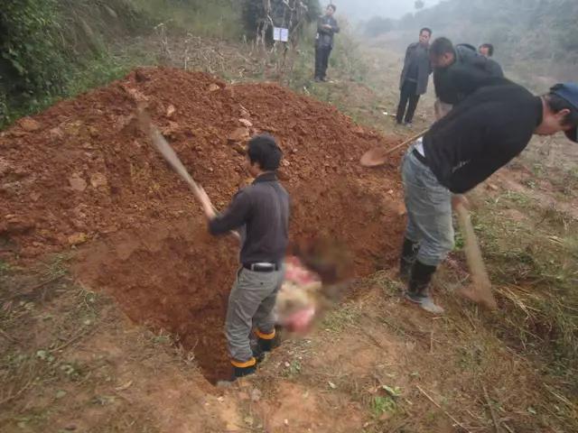 那些流产的婴儿都去哪里了,流产的婴儿一般怎么处理