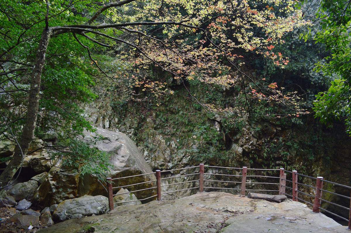 福州森林公园游玩攻略,福州三叠井森林公园徒步