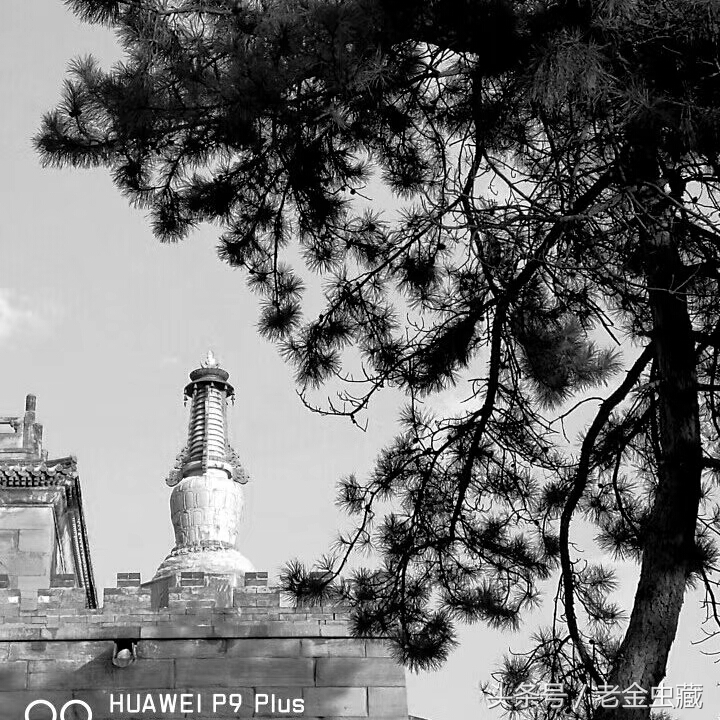 风雨几十年见证人品,攒足了人品才遇见了你