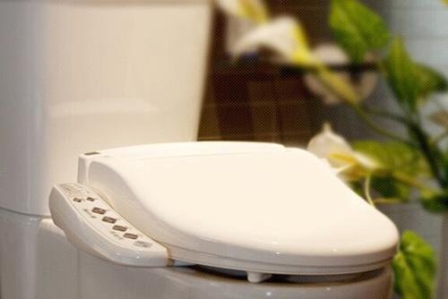 智能马桶盖客户的消费需求,智能马桶盖销售排行榜最新