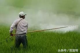 不用农药的高产方法,无公害防虫水