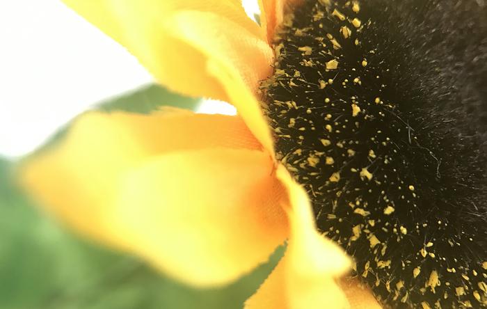 数码评测必装的软件,数码科技测评产品