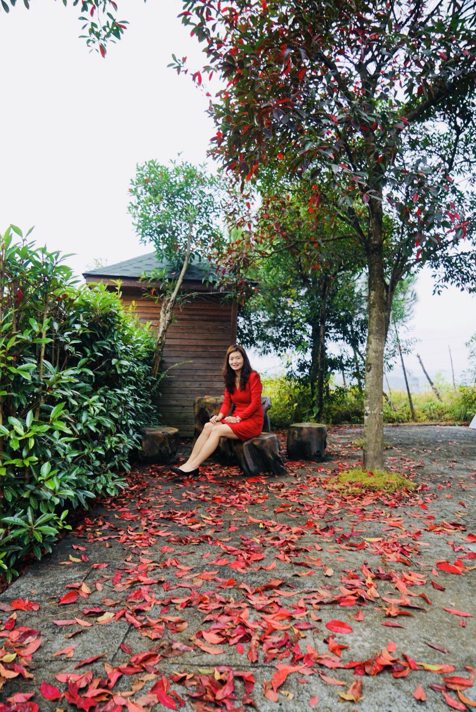 温州的春天有哪些特点,温州春夏秋冬