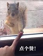 怎么穿衣服才能显高男生,男生怎样穿衣服显高