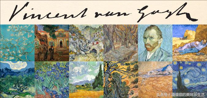 来自普罗旺斯的薰衣草,普罗旺斯薰衣草的味道