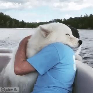 抱紧我你就不冷啦,暖心汪星人就是这么关心自己的主人!