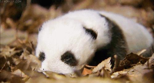 十款睡觉好物推荐,不眠之夜好物推荐