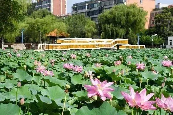 天津免费景点游玩攻略大全,天津必去景点推荐天津免费景点