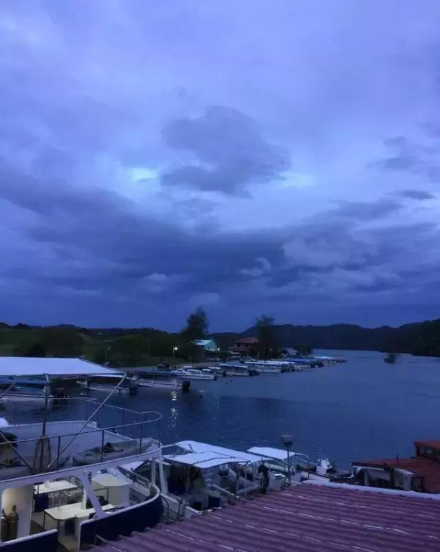 帕劳归来不看海视频,帕劳归来不看海