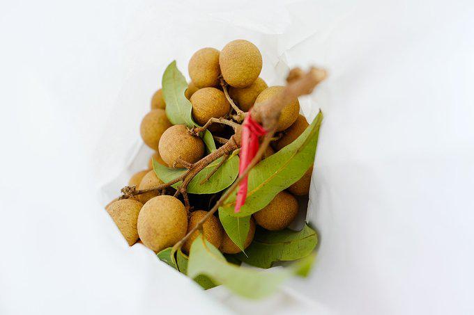 带父母去三亚游玩攻略,爸妈三亚旅游攻略