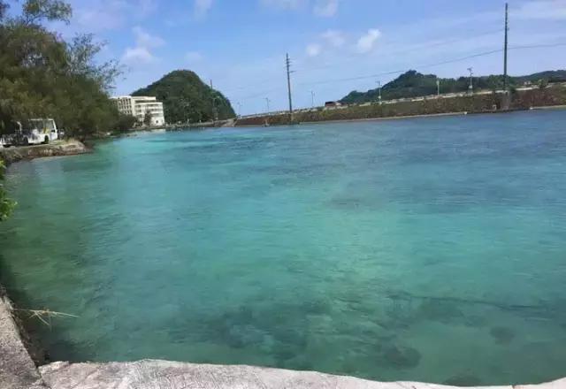 帕劳归来不看海视频,帕劳归来不看海