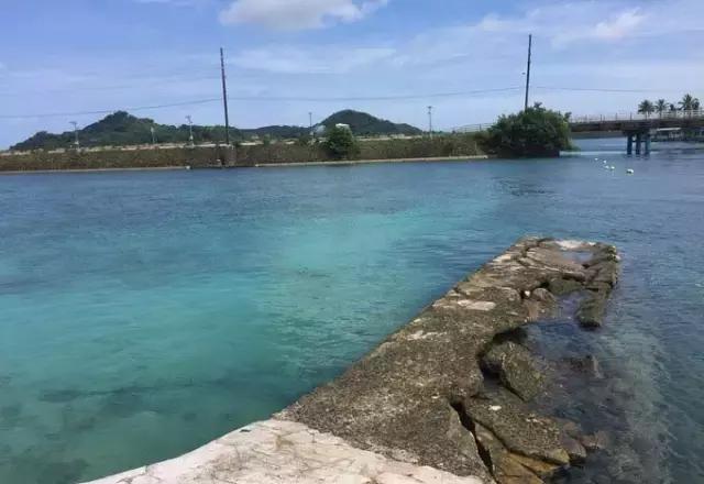 帕劳归来不看海视频,帕劳归来不看海