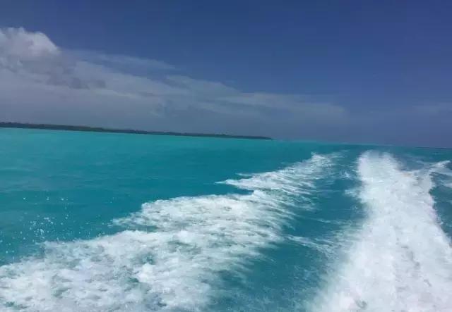 帕劳归来不看海视频,帕劳归来不看海