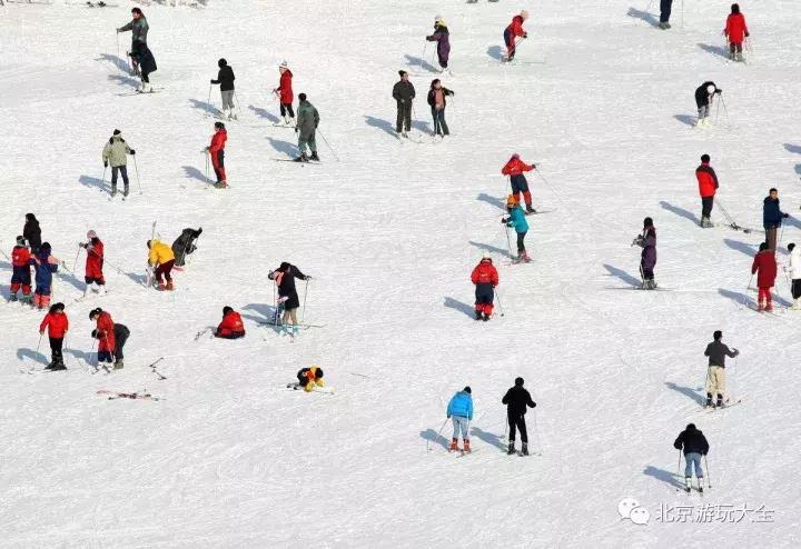 太详细了！冬季到了，还怕没地儿去滑雪？这条微信值得收藏！