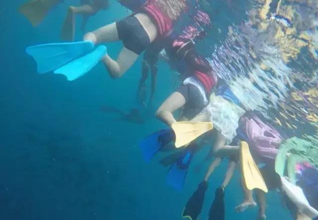 帕劳归来不看海视频,帕劳归来不看海