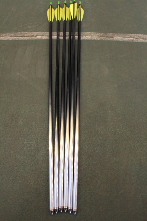 复合弓新手入门该知道的,复合弓的基础知识