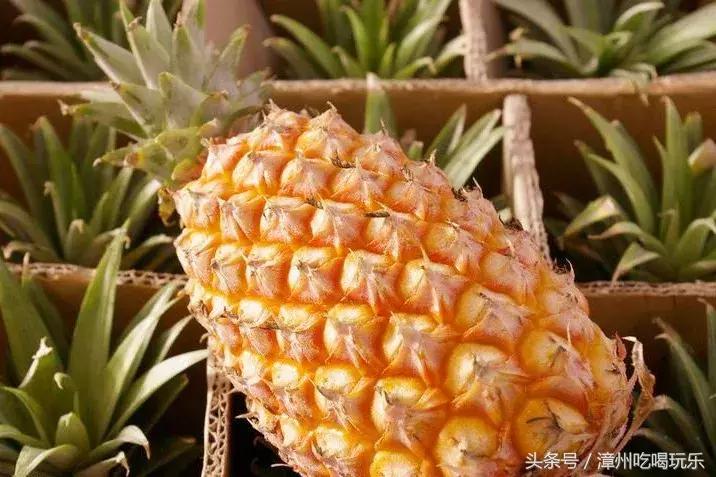 漳州五大名花十大名果,漳州最好的黄金果