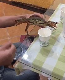 汉语博大精深写错字都能看懂,中国汉字博大精深搞笑视频错字