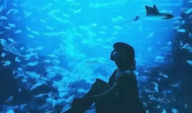 倒计时43天！武汉首条高富帅专列地铁下月就要通车啦！