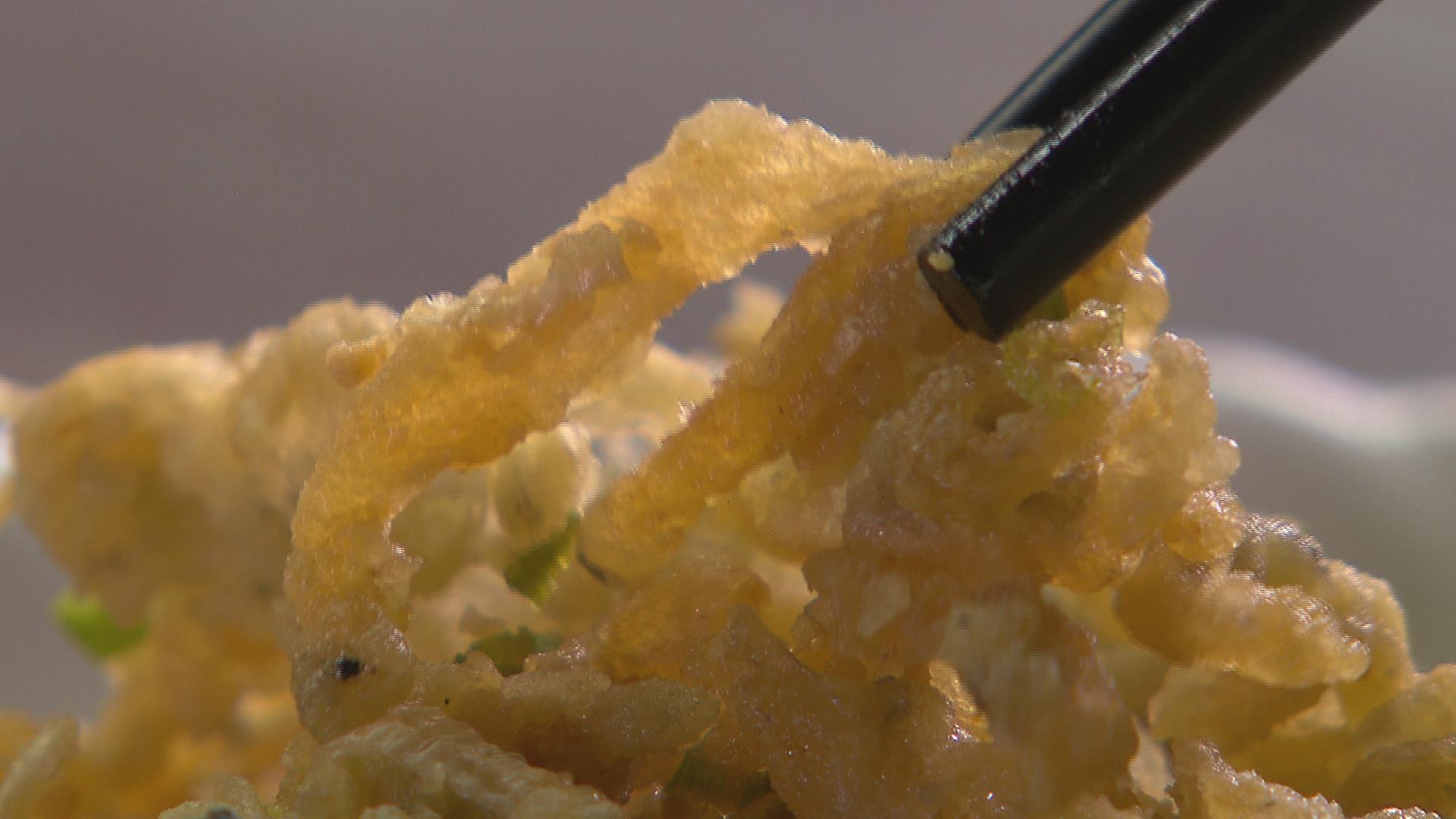 不用网不用钩就能捕到鱼？答案就在这里